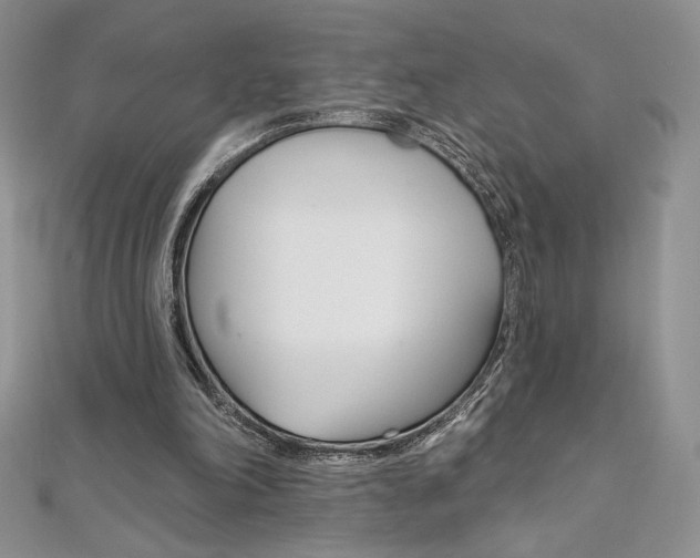 X0000112020198200908031048