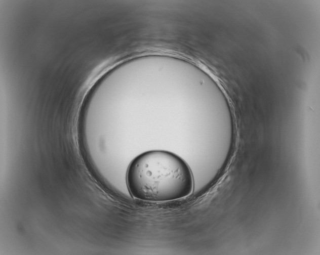 X0000112020199200908031048