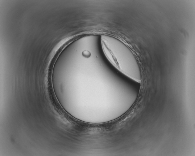 X0000112020200200908031048