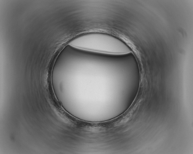 X0000112020201200908031048