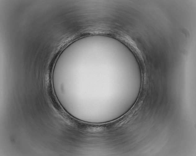 X0000112020202200908031048