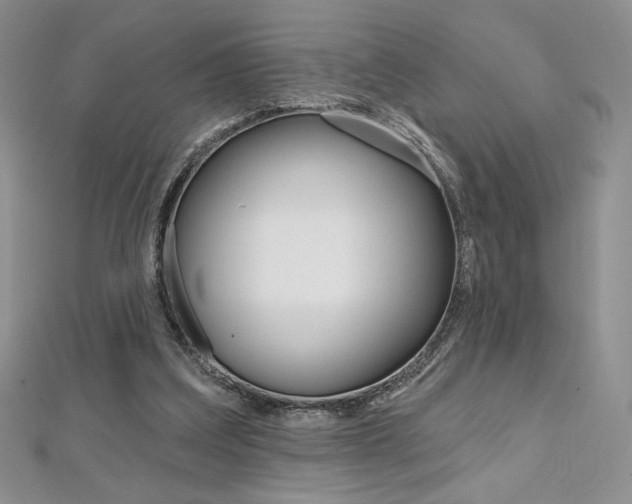 X0000112020203200908031048