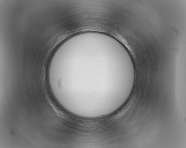 X0000112020205200908031048