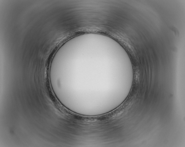 X0000112020206200908031048