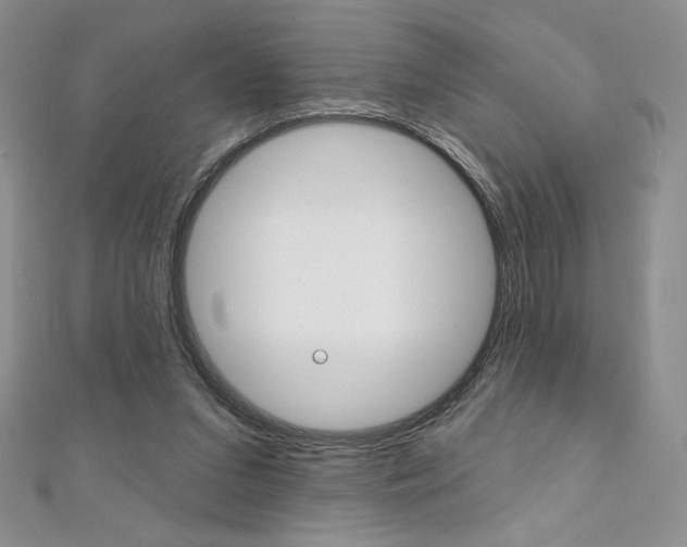 X0000112020207200908031048