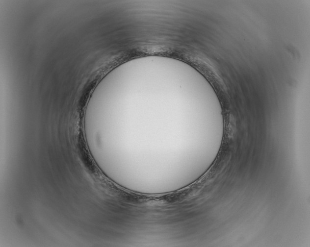 X0000112020210200908031048