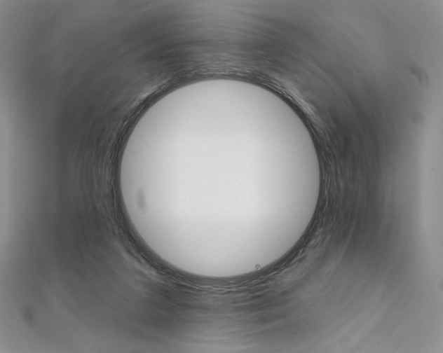 X0000112020211200908031048