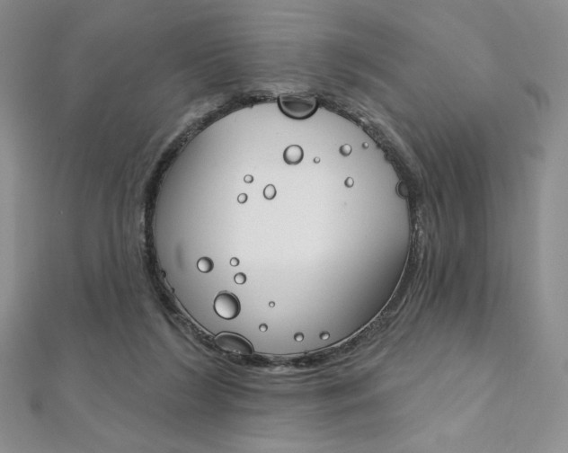 X0000112020212200908031048