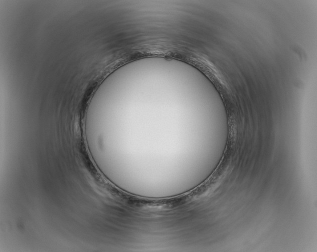 X0000112020213200908031048