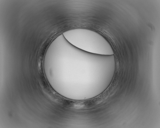 X0000112020214200908031048