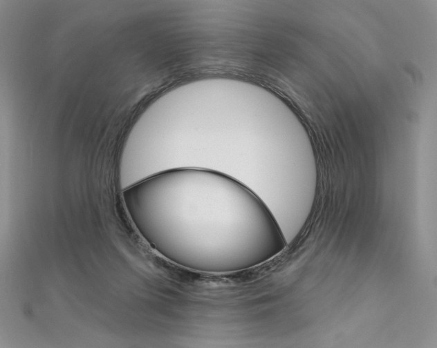 X0000112020215200908031048