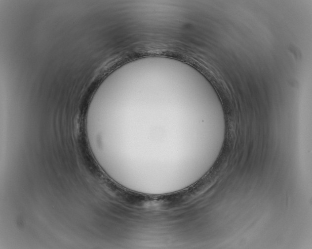 X0000112020216200908031048