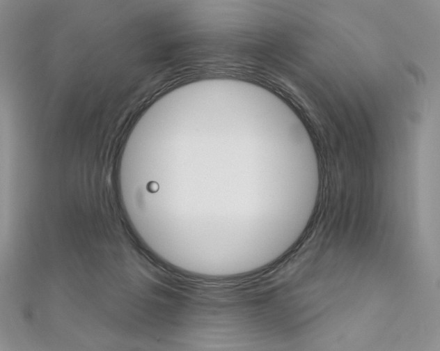 X0000112020217200908031048