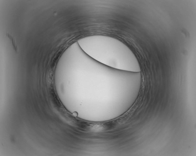 X0000112020218200908031048