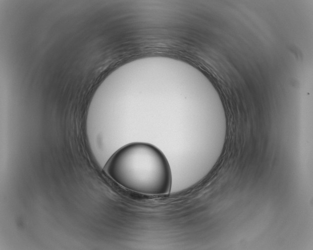 X0000112020219200908031048