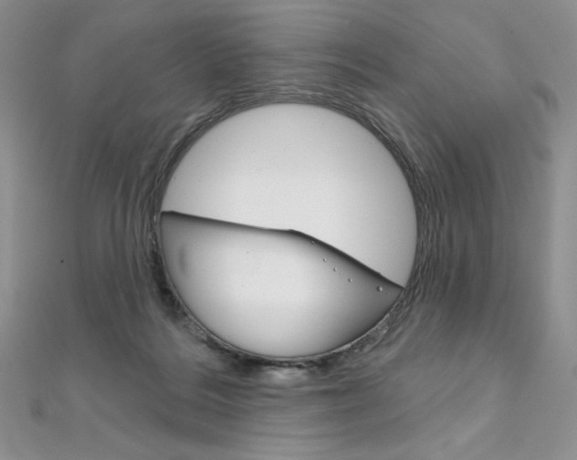 X0000112020220200908031048