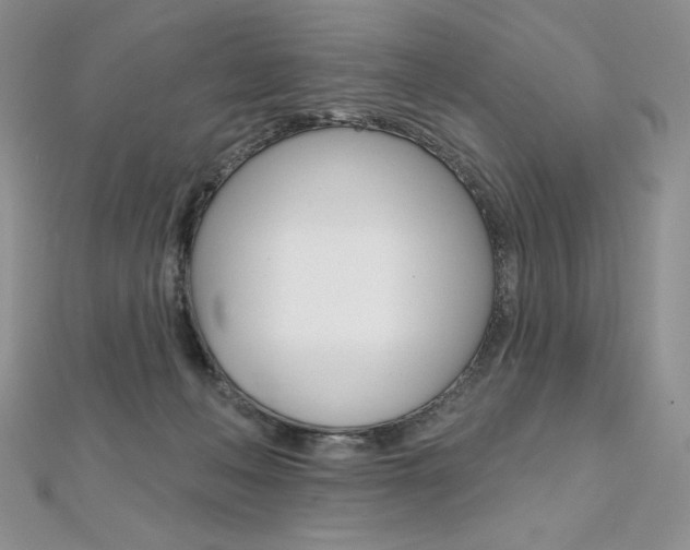 X0000112020222200908031048