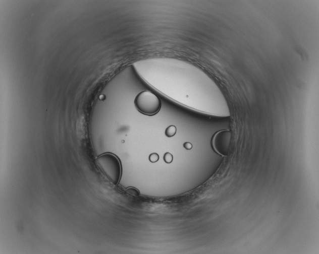 X0000112020224200908031048