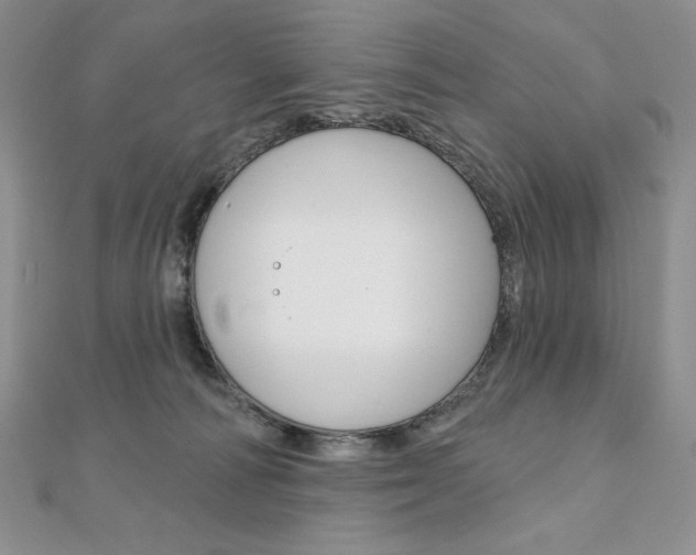 X0000112020226200908031048