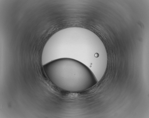 X0000112020227200908031048