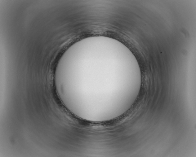 X0000112020228200908031048