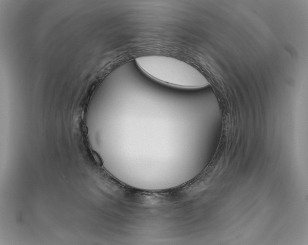 X0000112020229200908031048