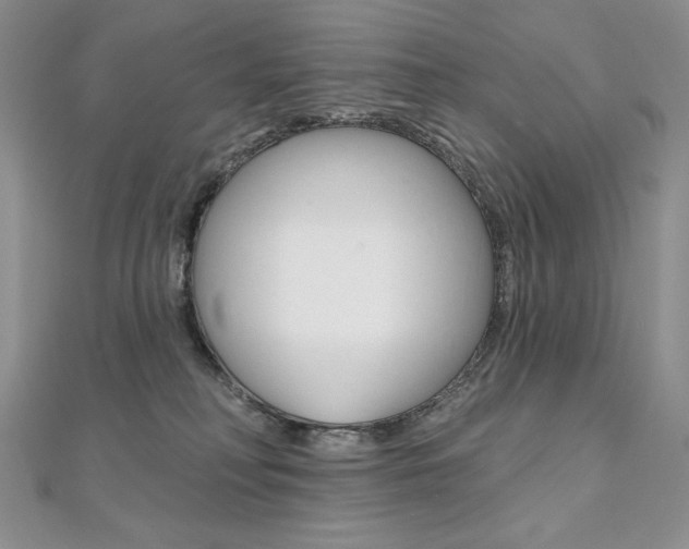 X0000112020230200908031048