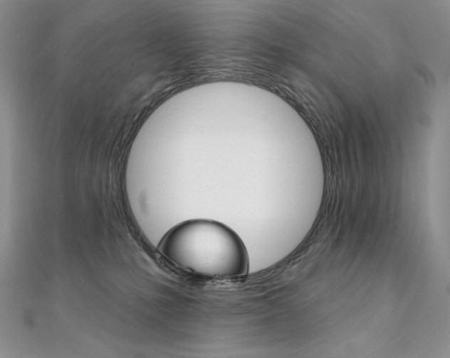 X0000112020231200908031048