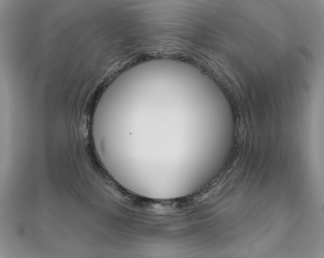 X0000112020232200908031048