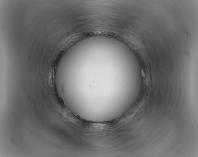 X0000112020233200908031048