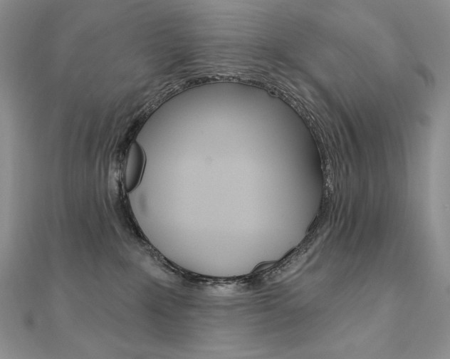 X0000112020235200908031048