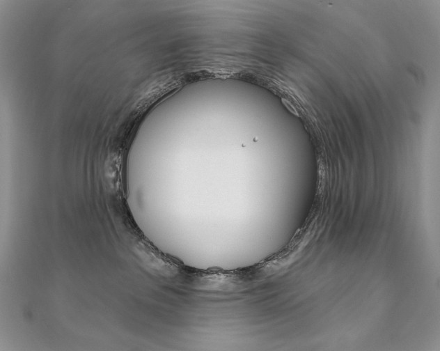 X0000112020237200908031048