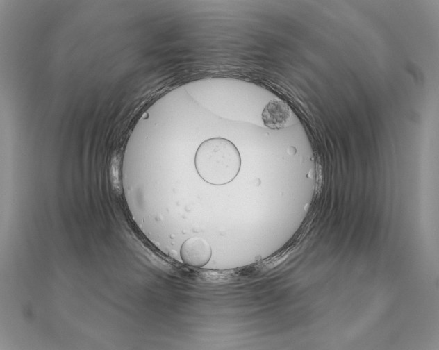 X0000112020238200908031048