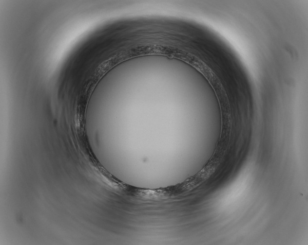 X0000112020239200908031048