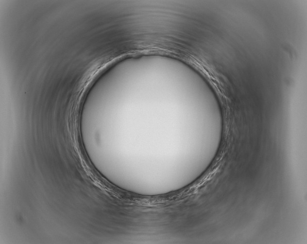 X0000112020241200908031047