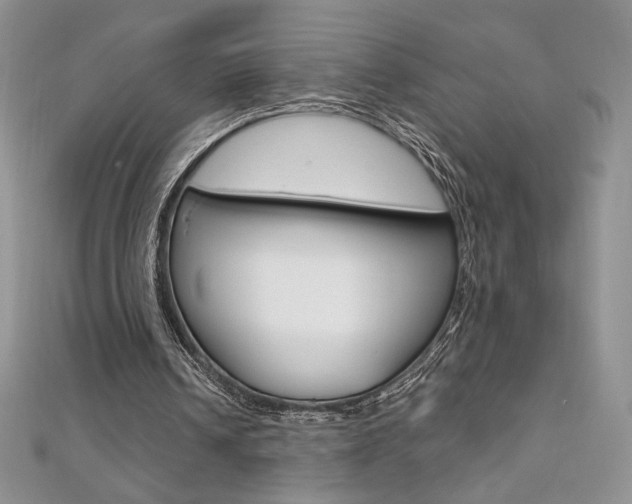 X0000112020242200908031047