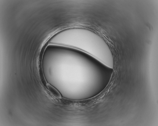 X0000112020244200908031047