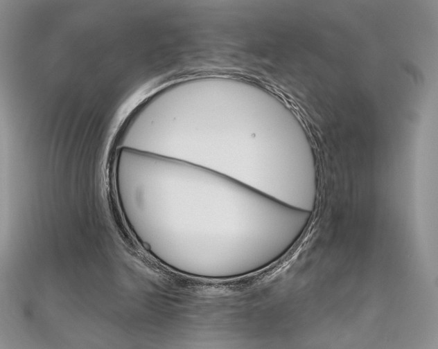 X0000112020246200908031047