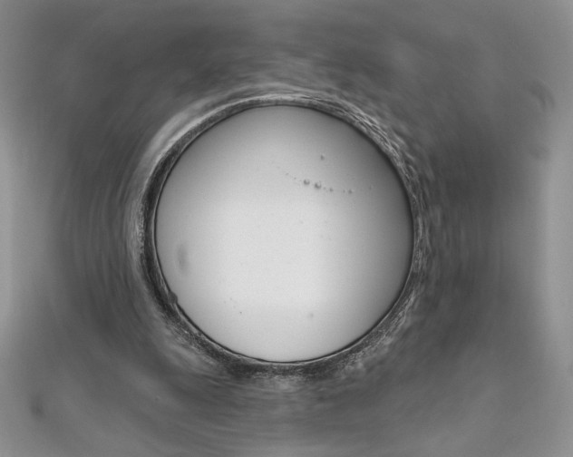 X0000112020247200908031047