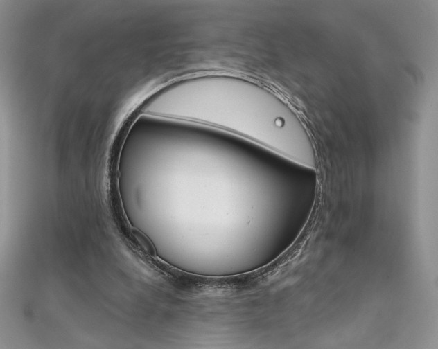 X0000112020248200908031047