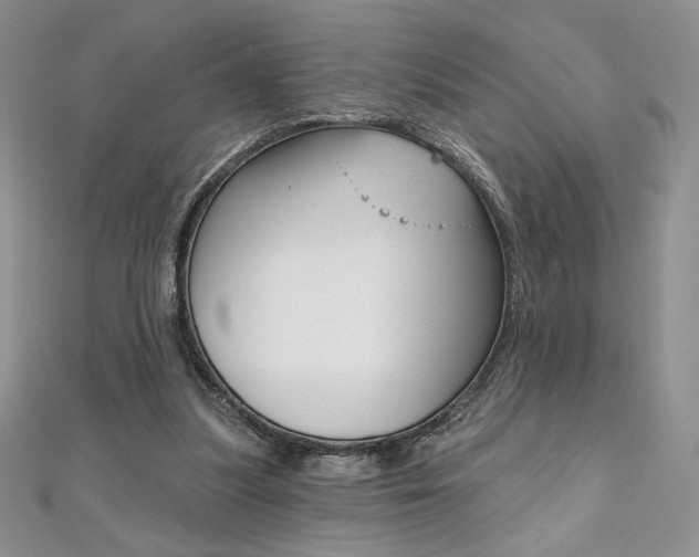 X0000112020251200908031047