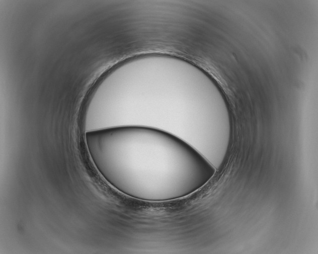 X0000112020252200908031047