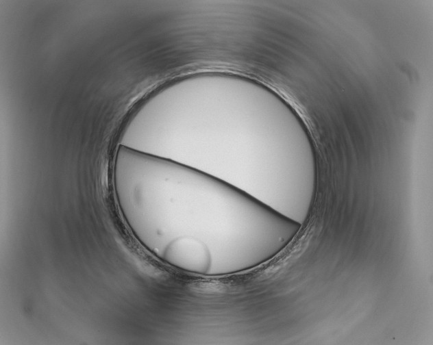 X0000112020253200908031047