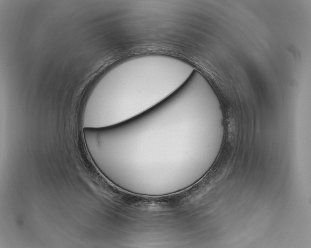 X0000112020254200908031047