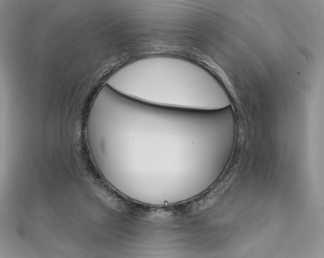 X0000112020257200908031047