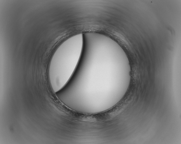 X0000112020258200908031047