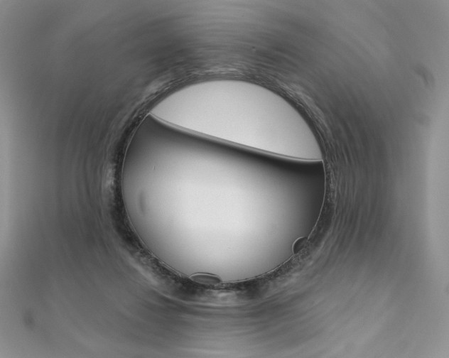 X0000112020260200908031047