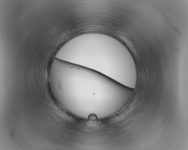 X0000112020261200908031047