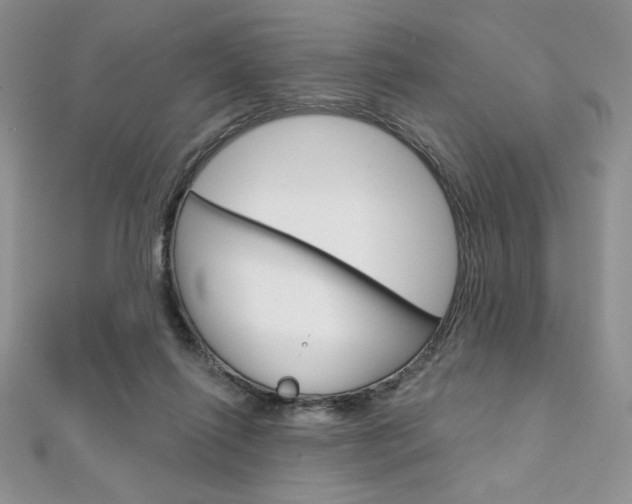 X0000112020262200908031047