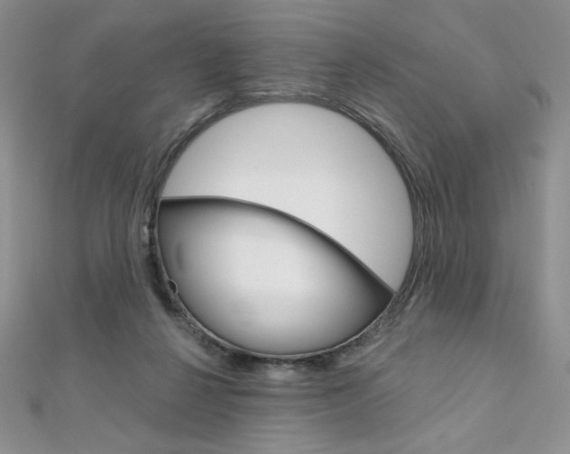 X0000112020264200908031047